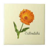 Tile - Calendula Fliese (Vorderseite)