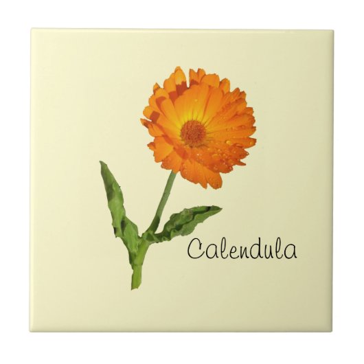 Tile - Calendula Fliese (Vorderseite)