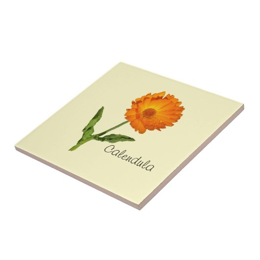 Tile - Calendula Fliese (Seite)