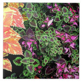 TILE, DEKORATIVE "FARBIGE FARBE" FLIESE (Vorderseite)