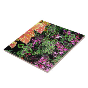 TILE, DEKORATIVE "FARBIGE FARBE" FLIESE