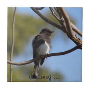 Tile - Flycatcher Fliese
