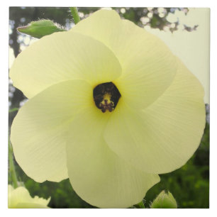 TILE, GROSSE BLEIBENDE "PINWHEED"-BLUME FLIESE