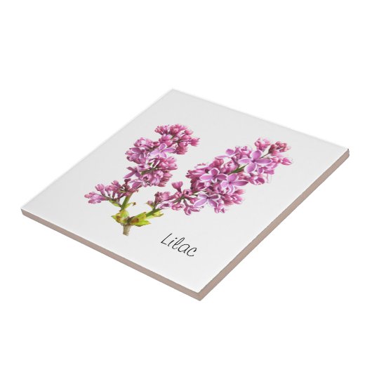 Tile - Lilac-Blüten Fliese (Seite)