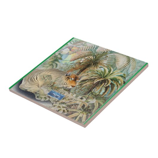 Tile Medium-Green (Jungle Fieber) RFPMDesign ©️ 20 Fliese (Seite)