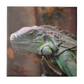 Tile mit farbiger Iguana-Eidechse Fliese (Vorderseite)