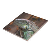 Tile mit farbiger Iguana-Eidechse Fliese (Seite)