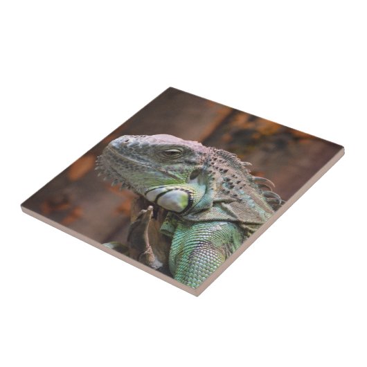 Tile mit farbiger Iguana-Eidechse Fliese (Seite)