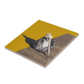 Tile - Pelican an der Strandpromenade Fliese (Seite)