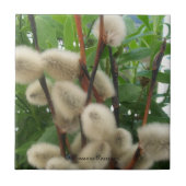 Tile (PussyWillowsInLeaves) RFPMDesign ©️ 2012 Fliese (Vorderseite)