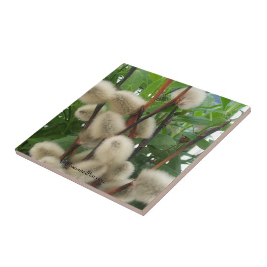 Tile (PussyWillowsInLeaves) RFPMDesign ©️ 2012 Fliese (Seite)