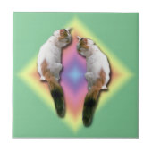 Tile - Rainbow-Diamant mit Katzen Fliese (Vorderseite)