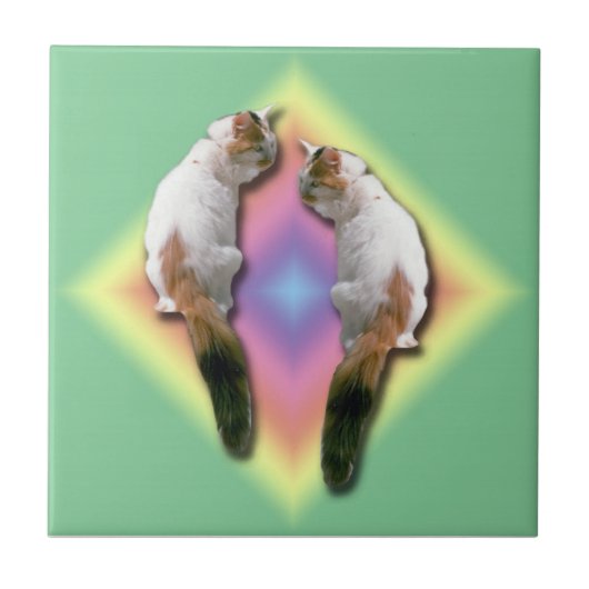 Tile - Rainbow-Diamant mit Katzen Fliese (Vorderseite)