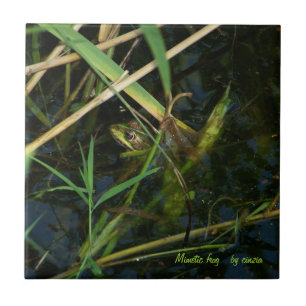Tile/Trivet mit grünem mimetischen Frosch Fliese