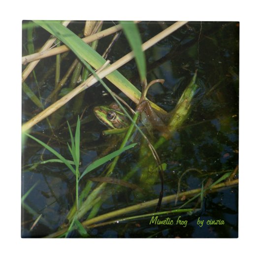Tile/Trivet mit grünem mimetischen Frosch Fliese (Vorderseite)