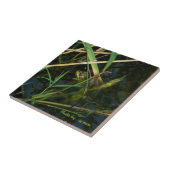 Tile/Trivet mit grünem mimetischen Frosch Fliese (Seite)