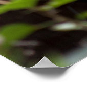 Tiled Dach des Okinawan-Hauses Poster (Ecke)