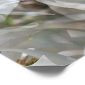 Tiled White Magnolia Floral Print Poster (Ecke)
