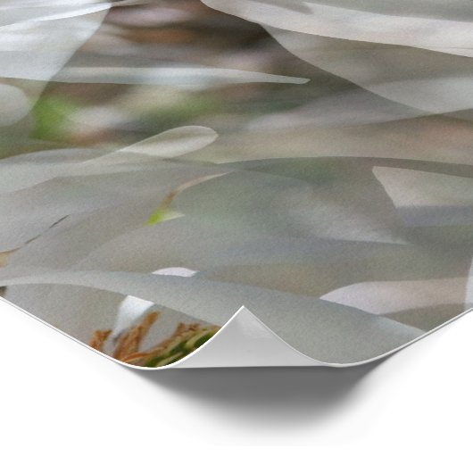 Tiled White Magnolia Floral Print Poster (Ecke)