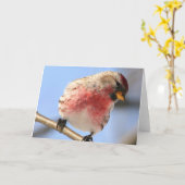 Tilgung der Redpoll-Grußkarte Karte (Gelbe Blume)