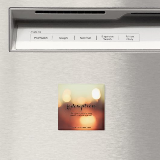 Tilgung Magnet (In Situ (Geschirrspüler))