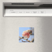 Tilgung Redpoll Magnet (In Situ (Geschirrspüler))