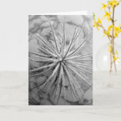 Tillandsia tectorum karte (Gelbe Blume)