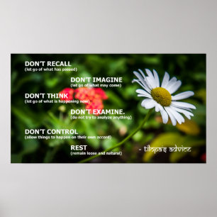 Tilopas Ratgeber Poster