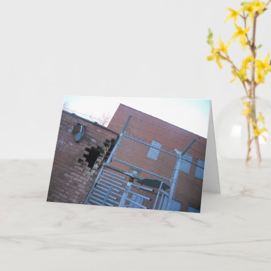 "Tilted Hamm's Brewery" wird gut Karte (Gelbe Blume)