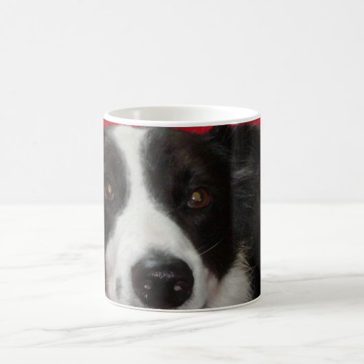 Tim die Border-Collie Kaffeetasse (Mittel)