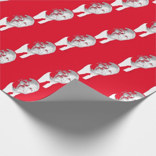 TIM SCOTT GESCHENKPAPIER (Ecke)