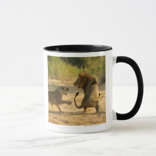 Timbavati Fluss, Kruger Nationalpark, der Limpopo Tasse