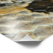 Timber Rattlesnake Coil Fotodruck (Ecke)