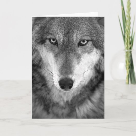 Timber Wolf #1-Greeting card Karte (Vorderseite)