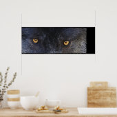 Timber Wolf Eyes Wildlife Foto Art Poster (Küche)