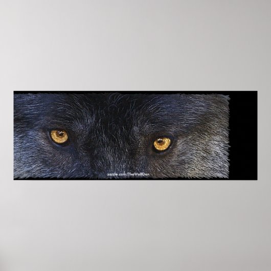 Timber Wolf Eyes Wildlife Foto Art Poster (Vorne)
