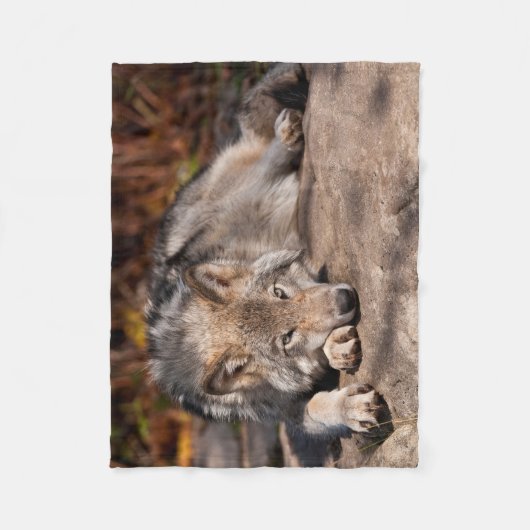 Timber Wolf Fleecedecke (Vorderseite)