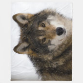 TIMBER WOLF FLEECEDECKE (Vorderseite)