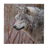 Timber Wolf Fliese (Vorderseite)