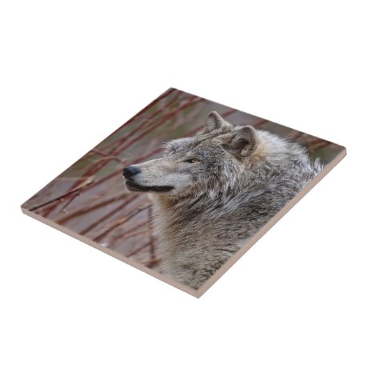 Timber Wolf Fliese (Seite)