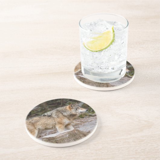 Timber Wolf Getränkeuntersetzer (Seite)