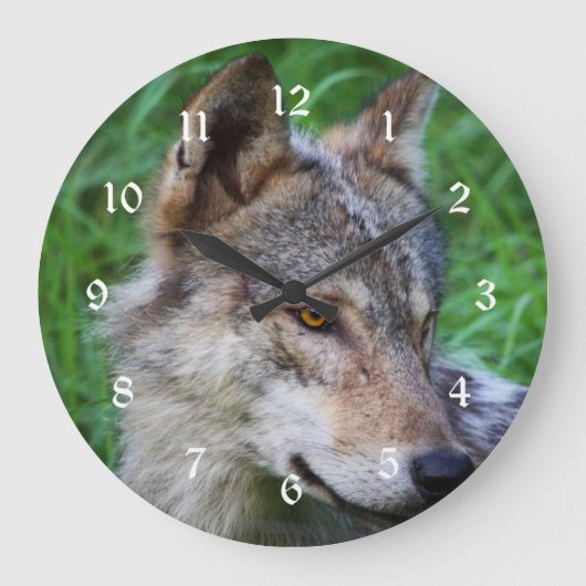 Timber Wolf Große Wanduhr (Vorderseite)
