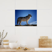 Timber Wolf in Montana - Big Sky Country Poster (Küche)
