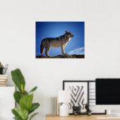 Timber Wolf in Montana - Big Sky Country Poster (Heimbüro)