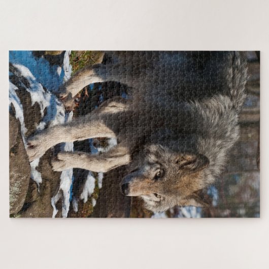 Timber Wolf Jigsaw Puzzle (Horizontal)