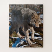 Timber Wolf Jigsaw Puzzle (Vertikal)