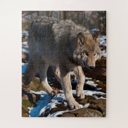Timber Wolf Jigsaw Puzzle (Vertikal)