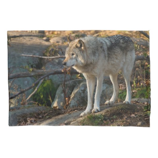 Timber Wolf Kissenbezug (Vorderseite)