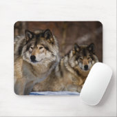 Timber Wolf Mouse Pad Mousepad (Mit Mouse)