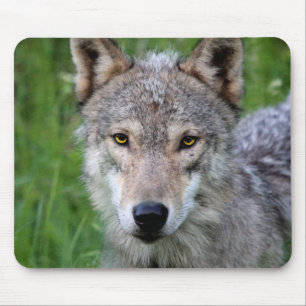 Timber Wolf Mouse Pad Mousepad